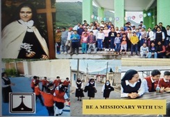 Carmelite Missionaries of St. Therese of the Child Jesus<br>