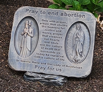 Pro Life Events October
