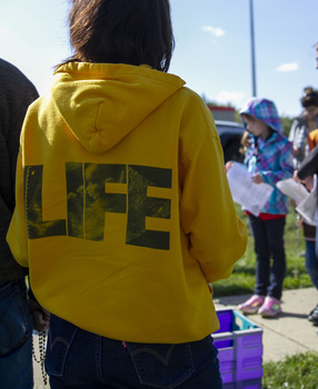 CRUSADERS BACK IN ACTION!