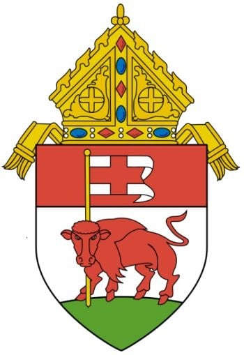 Letter to the Faithful on Settlement in Principle Announcement