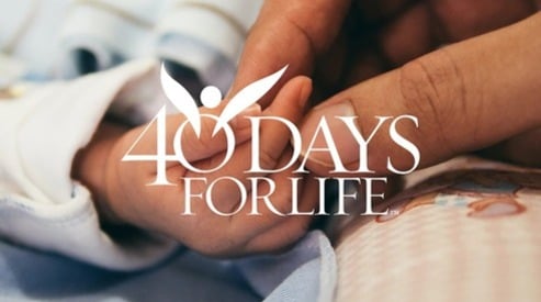 October's Respect Life Month Toddler Clothes, Pull Ups and Toy Collection