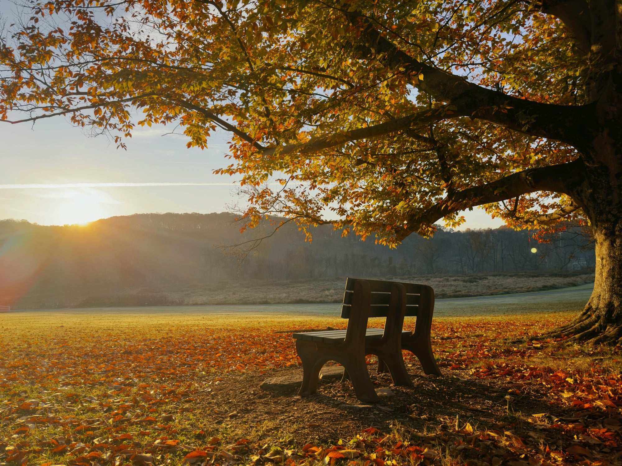 OUR PRAYERS ARE WITH YOU