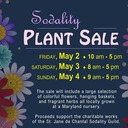 Sodality Plant Sale