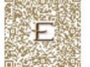 Discover the Story of the Catholic Church