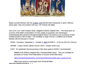 Angels of God Scripture Study