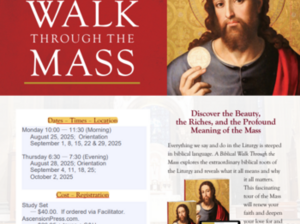 Sacred Scripture Study at Santa Catalina Parish