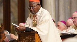African bishops demand end to 'land grabs' by private companies