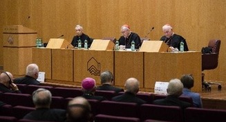 Questions about Synodal Path dominate German bishops' 'ad limina'