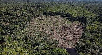 Papa: Se necesita pacto entre la humanidad y el medio ambiente