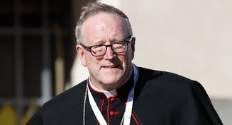 Bishop Barron criticizes synod suggestion scientific advances could shift church morality teaching