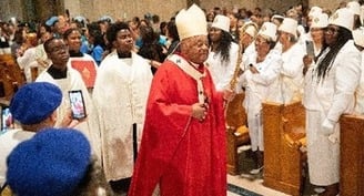 Cardinal Gregory stresses visionaries' role in building a better world