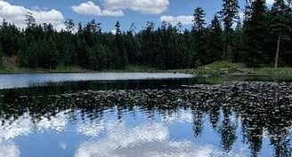 Pope confirms 'second Laudato Si'' will be an apostolic exhortation