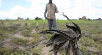 Catholic, Christian groups share faith-driven plan for 'climate adaptation' with Congress