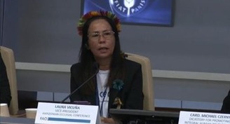 Amazon synod inspired church to listen more broadly, cardinals say