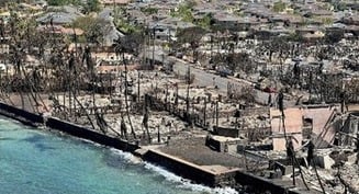Un año después de los incendios forestales de Maui la comunidad es resiliente