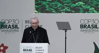 Cuidar y proteger la creación es parte del proceso de paz, dice el Papa a la COP30
