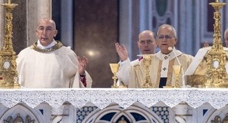 Profundiza, trabaja con paciencia para mantener la Iglesia sobre cimientos sólidos, dice Papa León