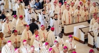 US bishops celebrate Mass to 'beg the Holy Spirit to inspire' their fall assembly