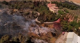 Jerusalem religious communities ask for help to renovate gardens damaged by wildfires