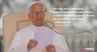 Texto completo: Catequesis del Papa León XIV durante la audiencia general del 25 de junio de 2025
