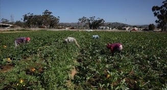 ANALYSIS: 'Big Beautiful Bill' portends 'unprecedented' impact on immigrant families, workers