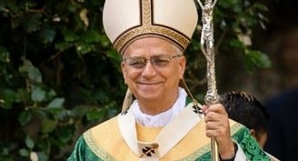 Pope Leo wears Chicago-made vestments to July 9 'care of creation' Mass
