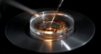 Experts: Church must better educate Catholics about IVF moral objections, alternatives