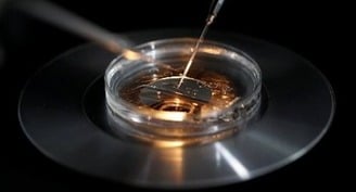 Catholic bioethicist raises ethical concerns with 'three parent embryos'