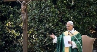 Catholics must respond to environmental injustice with prayer, concrete action, pope says