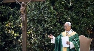 Católicos deben responder a la injusticia ambiental con oración y acciones concretas, dice el Papa