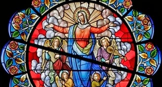 Why Mary's assumption makes total scientific sense