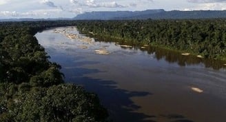 Obispos se reúnen en Colombia para debatir el futuro de la región panamazónica