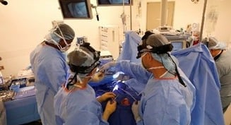 Bioethics of the brain: A conversation with a Catholic neurosurgeon