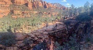 Caring for creation this Lent