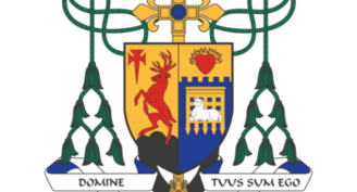 What is the process of appointing bishops in the Catholic Church?