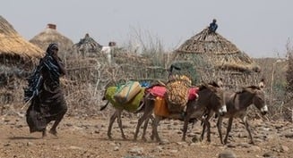 Ante la severa sequía, líderes de la Iglesia en África Oriental instan a orar durante la Cuaresma