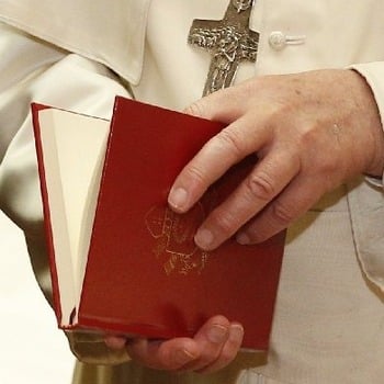 La evangelización incluye el cuidado de los pobres y de la Tierra, dice el Papa