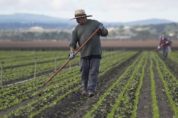 Crossing the desert to reach a land of hope: a migrant family's story