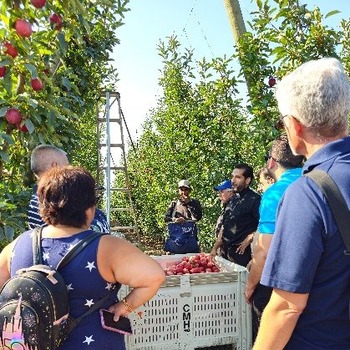U.S. bishops' delegation shares trends, best practices in migrant farmworker ministry