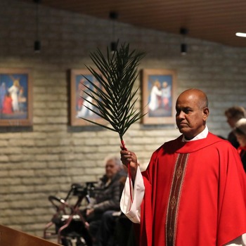 Scripture Reflection for March 24, Palm Sunday of the Lord's Passion