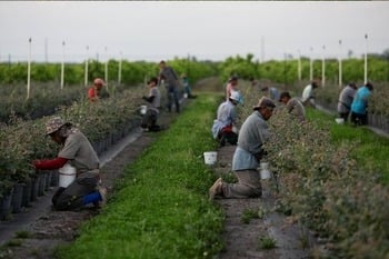 Obispos denuncian los bajos salarios, turnos irregulares, escasa protección de los trabajadores