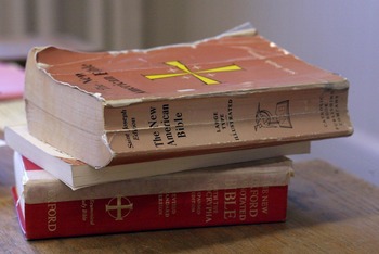 Scripture Reflection for Sept. 29, 2024, Twenty-sixth Sunday in Ordinary Time