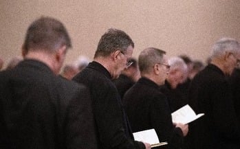 Migration, AI and health care directives on US bishops' fall meeting agenda