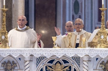 Profundiza, trabaja con paciencia para mantener la Iglesia sobre cimientos sólidos, dice Papa León