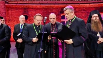 'God suffered a great deal in every single person' who was in Auschwitz, cardinal says