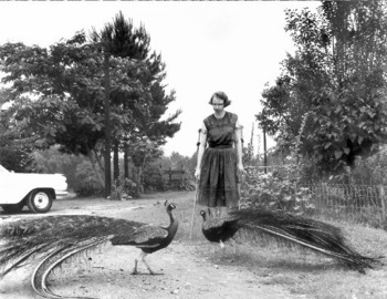 Flannery O'Connor's 100th birthday parties celebrate author's quirks, talents -- and love of birds