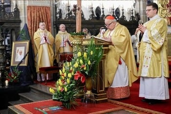 Líderes católicos de todo mundo reflexionan sobre legado del Papa Francisco, testimonio de Cristo