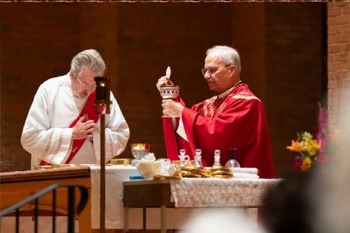 Midwest Augustinians celebrate in Pope Leo XIV a brother 'rooted in the spirit of St. Augustine'