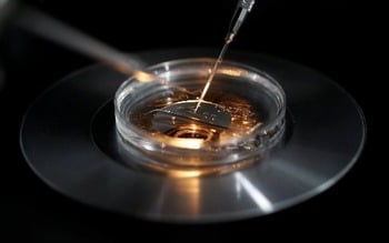 Catholic bioethicist raises ethical concerns with 'three parent embryos'