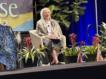 As numbers decline, communities age, women religious urged to discern their 'emerging future'